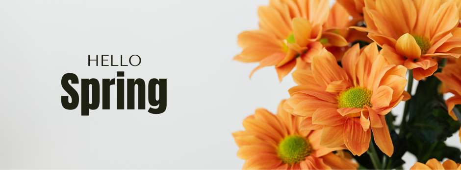 Mr. Electronic - Business promo